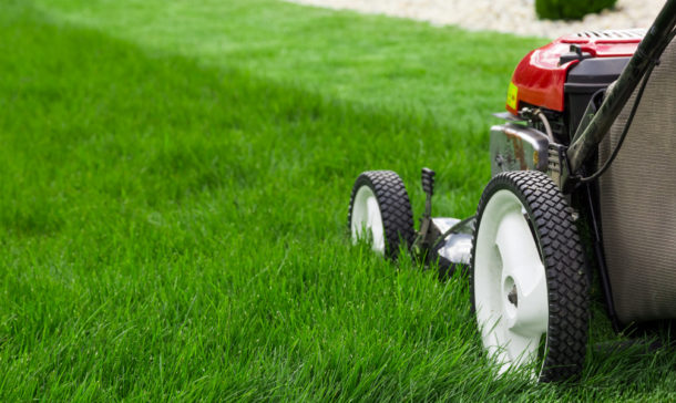 Push lawn mower mowing a new track in tall grass